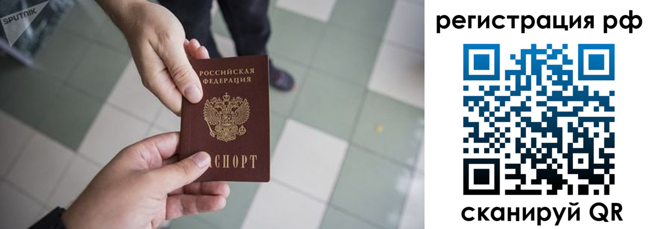прописка гарантия в Ардоне